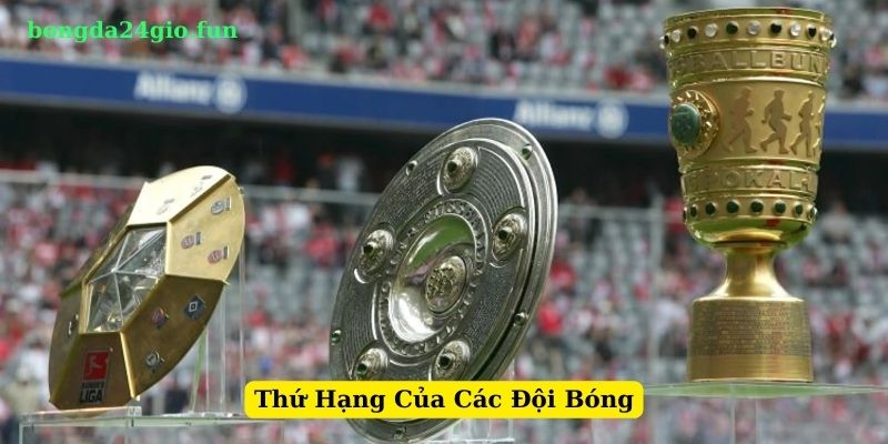 Đội bóng hạng thứ tư